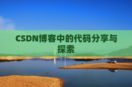 CSDN博客中的代码分享与探索